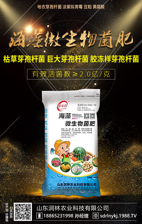 玉米春季播種和施肥技術(shù)，大家了解嗎？