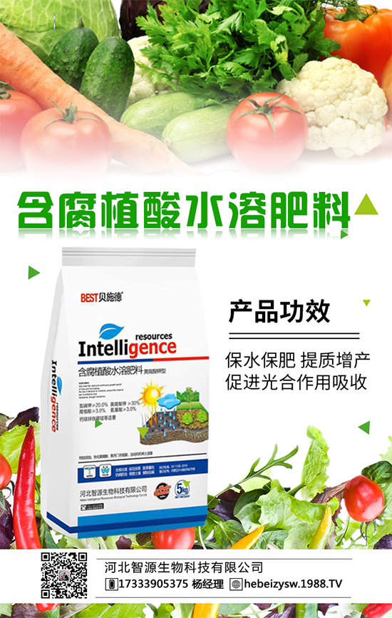 春季種植番茄施什么肥好呢？