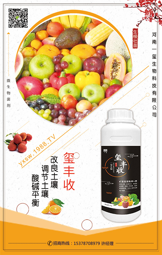 ���Ĳ�ʲô�r�g���������Ĳ˵�����Ҫ�c��