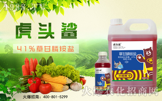 С���ܻ����ɹ����s1988.TV���y�ֹ���(chu��ng)��(zh��n)��(j��)��