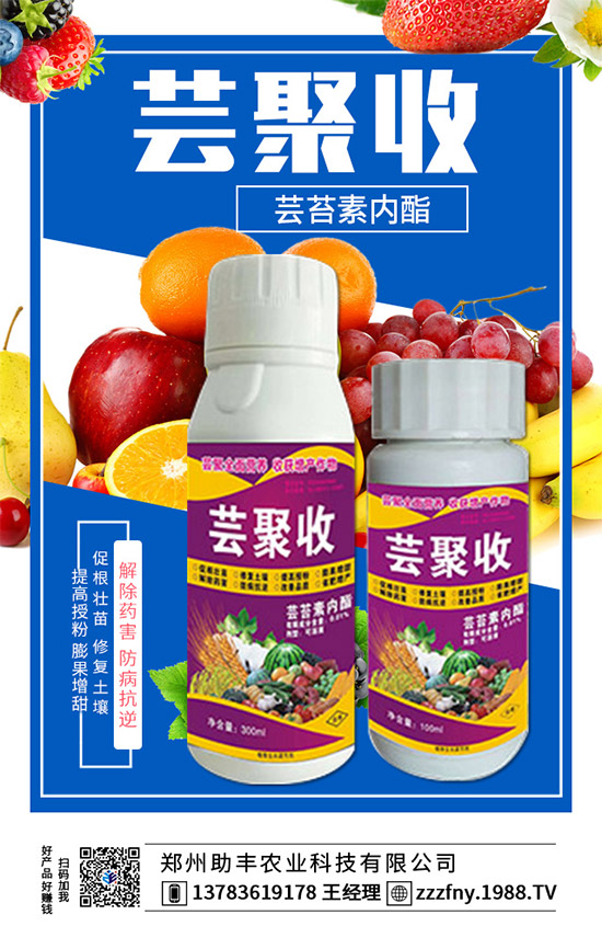 ���r(n��ng)���W(w��ng)�ٺ��������S�r(n��ng)�I(y��)�����M(j��n)��(zh��n)�Ժ���������(j��)��