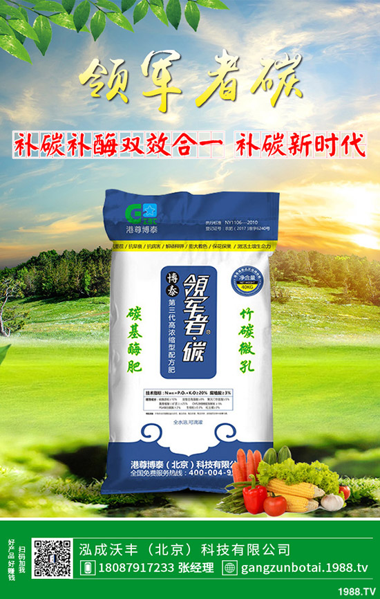 家中該如何養(yǎng)殖馬蹄蓮？養(yǎng)殖方法要點，花友必看！