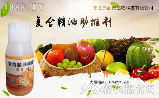     ����������ɹ����v1988.TV�����\�����°l(f��)չ��