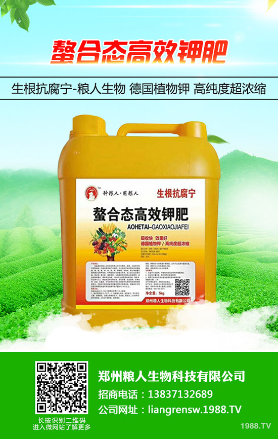 蔥得了灰霉病怎么辦？大蔥灰霉病的防治方法！