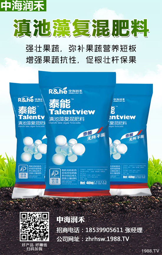 С�����·����������������ж��Ӱ푣�ԓ����a(b��)����С�����·��r(n��ng)��ָ��