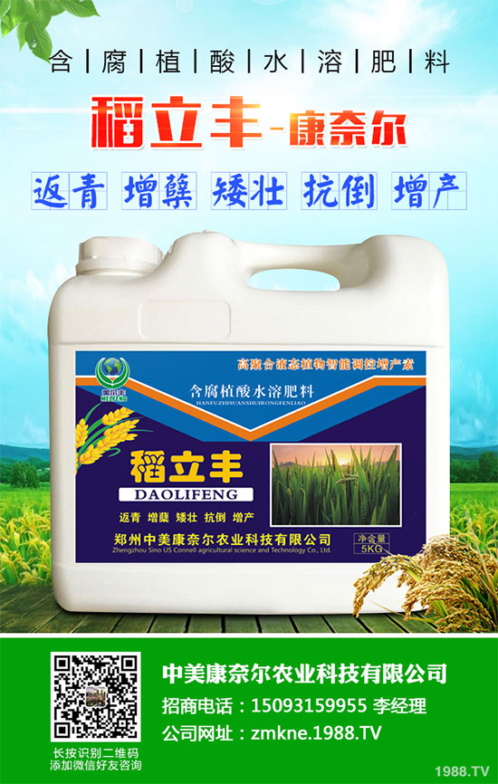 С�����·����������������ж��Ӱ���ԓ����a(b��)����С�����·��r(n��ng)��ָ��