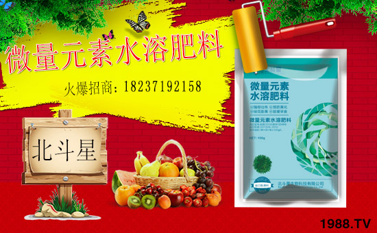 1988.TVϲӭ�»�飬���ϱ����ǔy��1988.TV���Aδ��(l��i)��