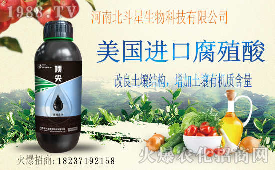 1988.TVϲӭ�»�������ϱ����ǔy��1988.TV���Aδ��(l��i)��