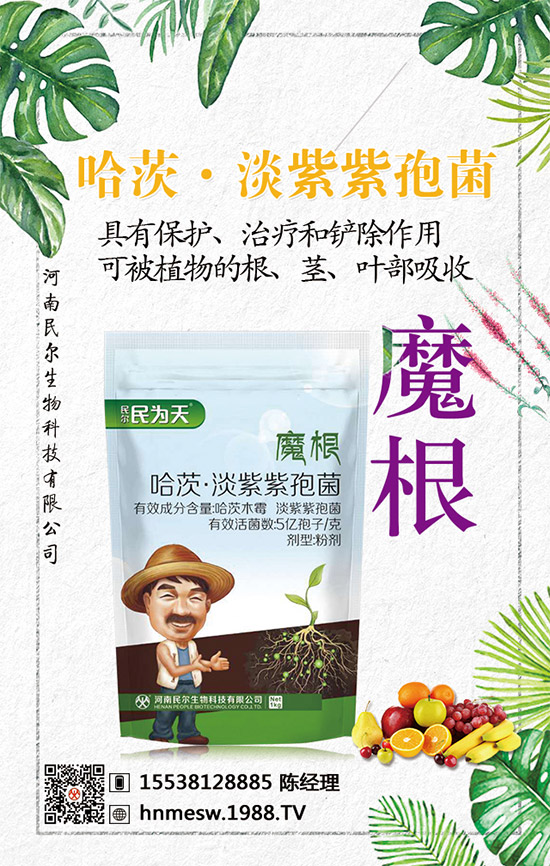 �����������������ٺ�1988.TV������(chu��ng)���x����