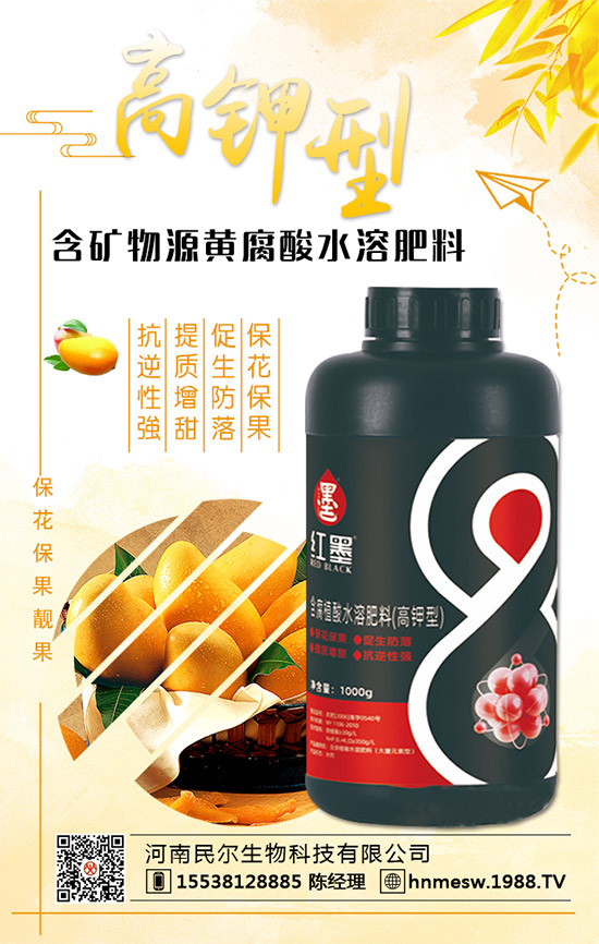 �����������������ٺ�1988.TV������(chu��ng)���x�ͣ�