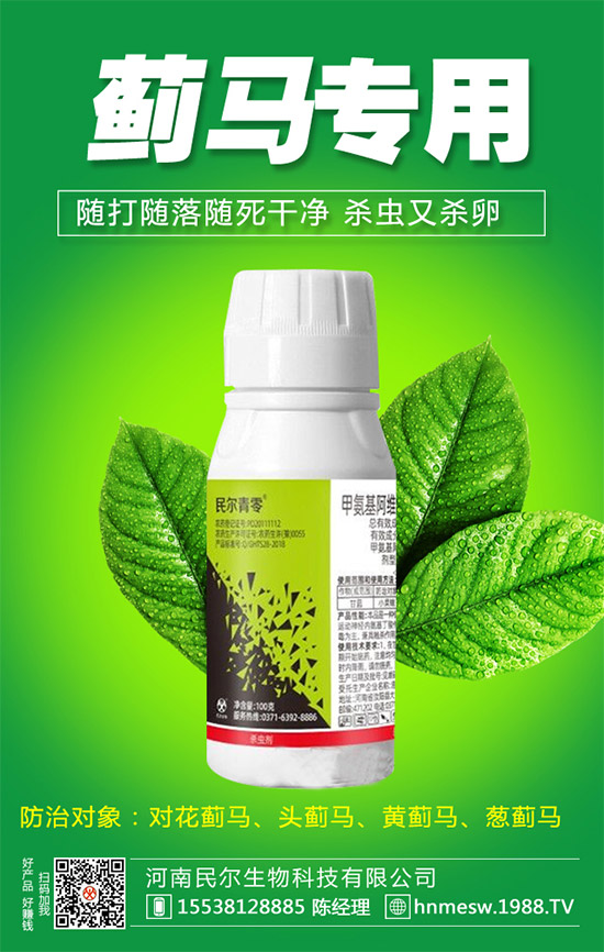 �����������������ٺ�1988.TV������(chu��ng)���x����