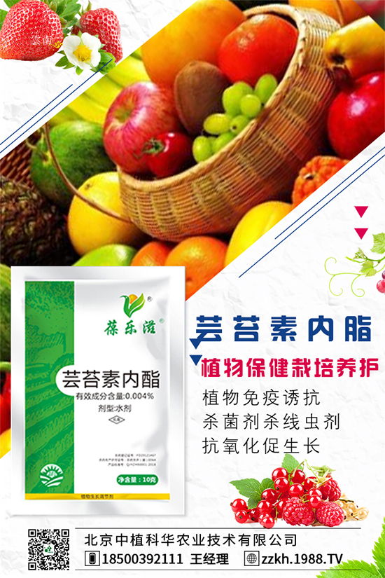 ���Ҫ��ô�Nֲ�����ˮ�ʹ���Ҫ�c(di��n)��