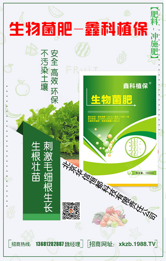 春節(jié)白菜施肥要點，提升白菜產量