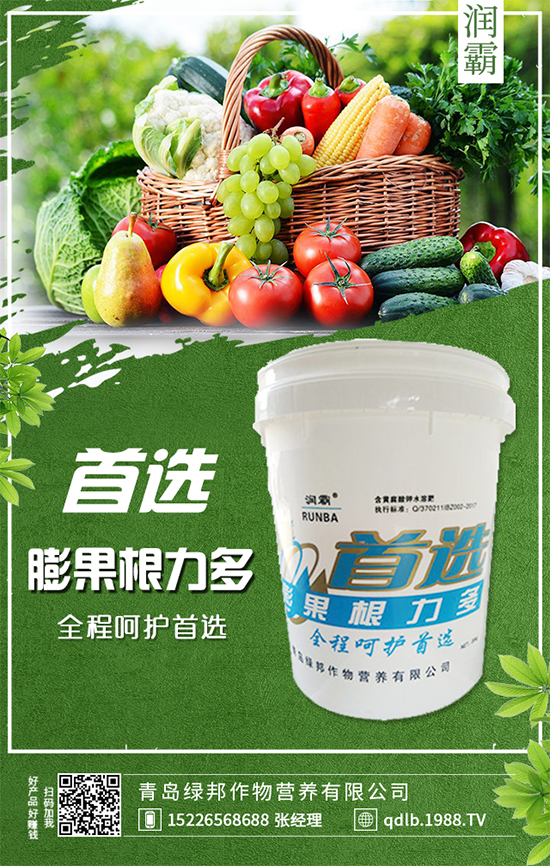 �f(w��n)�����U�����NҪ�c(di��n)���҃�(n��i)�f(w��n)����Nֲע�����(xi��ng)��