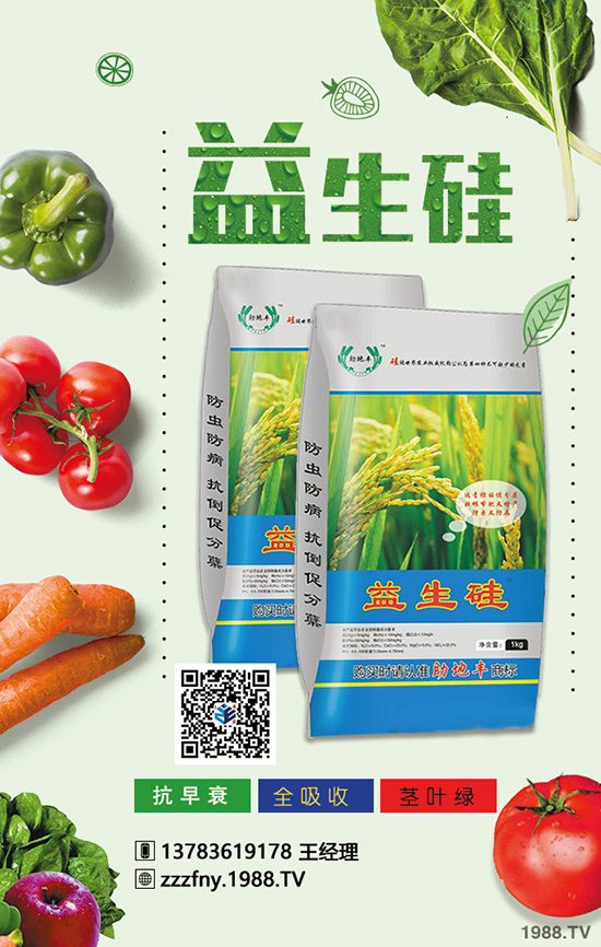 春季種好菠菜施肥與技巧不可缺少！