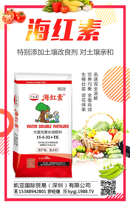 �����Nֲ�l(f��)չ�ĬF(xi��n)������������߮a(ch��n)�Nֲ���g(sh��)Ҫ�c(di��n)��