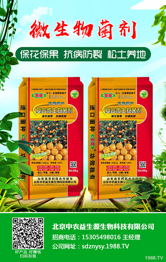     С���к�����Ҫ��������Щ����η��������μ��g(sh��)ָ��(d��o)��Ҋ����Щ��