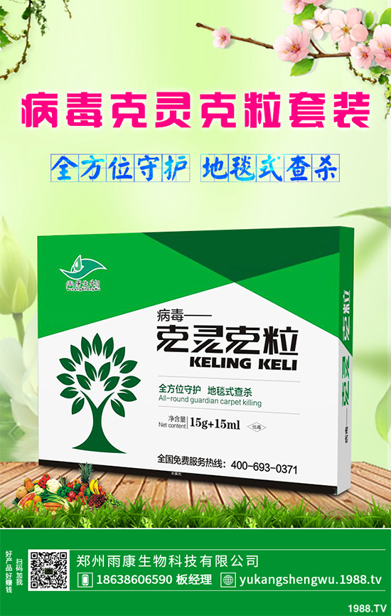 �W�ˌ�Ҫ���á���ɭ�i�\����