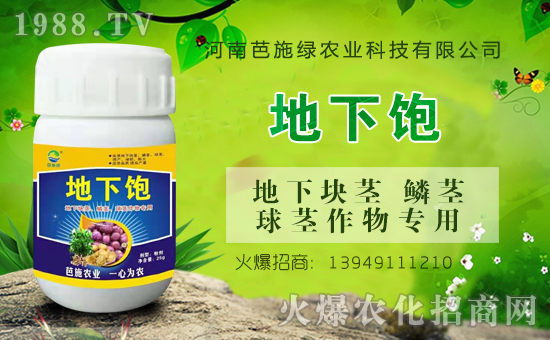 ��(zh��n)�Ժ���������(j��)�����ϰ�ʩ�G�r(n��ng)�I(y��)�y��1988.TV�ل�(chu��ng)�x����