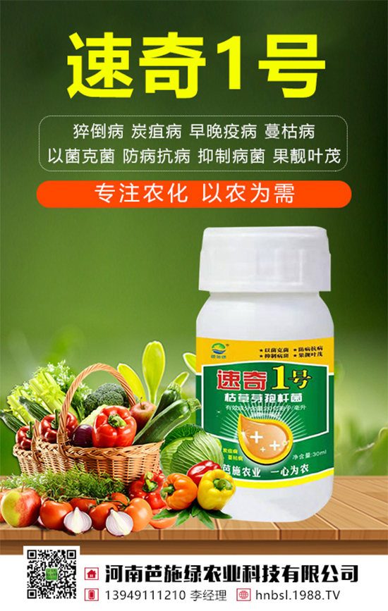 ��(zh��n)�Ժ���������(j��)�����ϰ�ʩ�G�r(n��ng)�I(y��)�y��1988.TV�ل�(chu��ng)�x�ͣ�