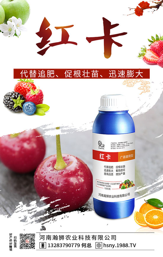 �����������ι�����������������Լ��g(sh��)Ҫ�c