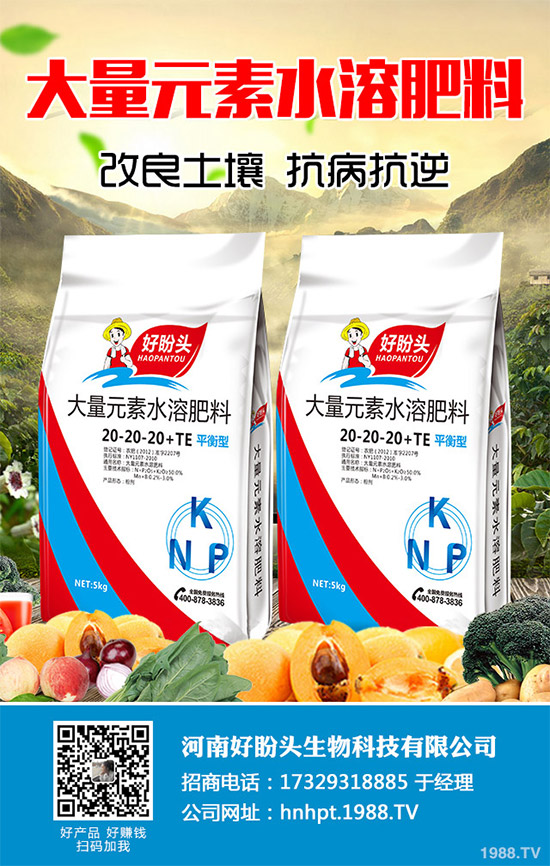 �o��������Щ�I�B(y��ng)�r(ji��)ֵ���o�����Ĺ�Ч���ü�ʳ�ý���