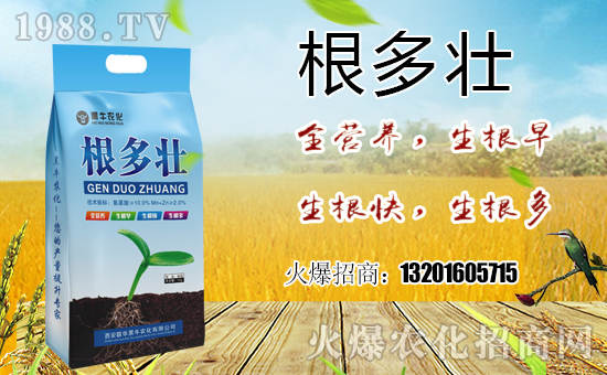  ϲ��(b��o)��1988.TVϲӭ�����ѣ�(li��n)�A��ţ��(qi��ng)��(sh��)���u��