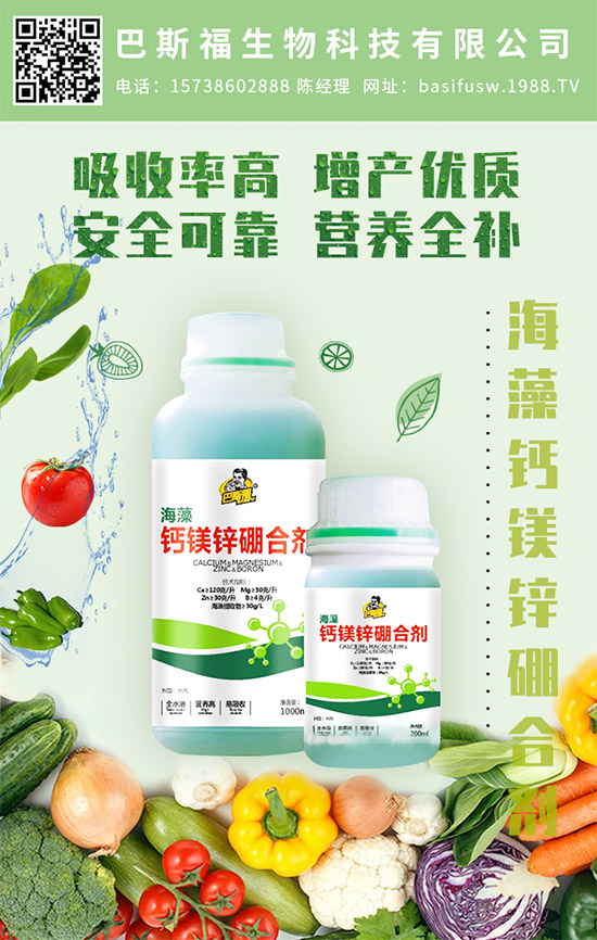 ��˹�������m(x��)�s1988.TV��������I(y��)���x����