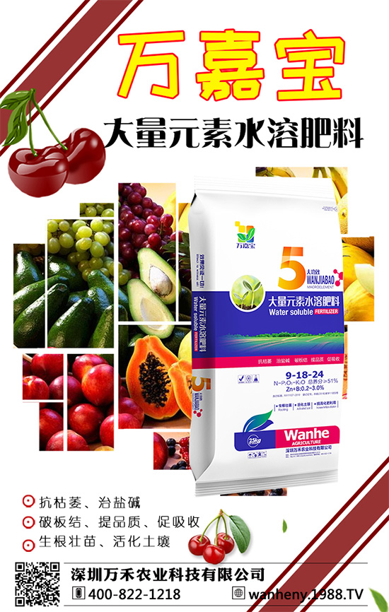 �����f���r(n��ng)�I(y��)�ٶȔy��1988.TV������W(w��ng)�j(lu��)�������E��