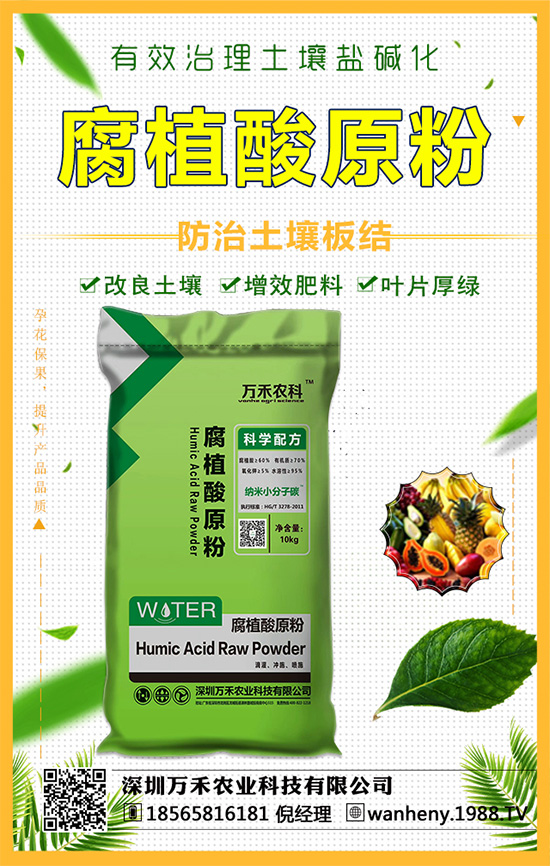 �����f���r(n��ng)�I(y��)�ٶȔy��1988.TV������W(w��ng)�j(lu��)�������E��