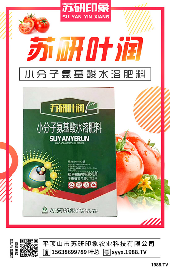 馬鈴薯該如何覆膜種植？馬鈴薯覆膜種植技術(shù)要點(diǎn)及存在的問(wèn)題