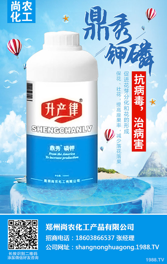     ���{(l��n)���Y(ji��)����ô�k�����{(l��n)���Y(ji��)��ԭ�򼰷��δ�ʩ��