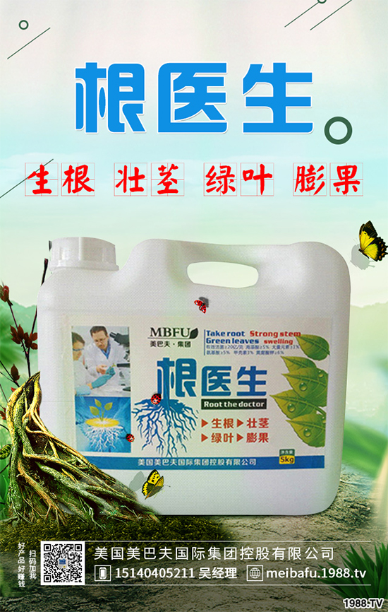 ������ʲô�r�򲥷N���������Ĳ��N�r�g��ע�����