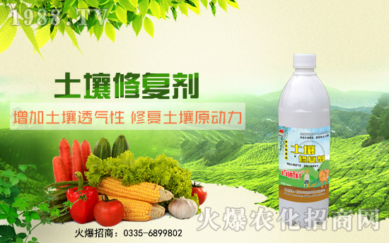 �ػʍu���r(n��ng)����A����˻��r(n��ng)���W(w��ng)���_���W(w��ng)�j(lu��)������������