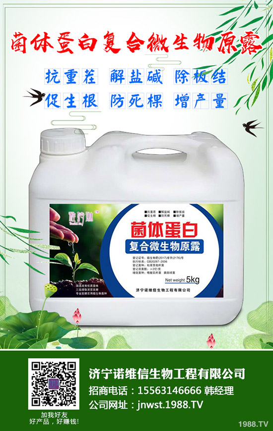 大豆施用硼肥有哪些好處？大豆施用硼肥的技術(shù)！