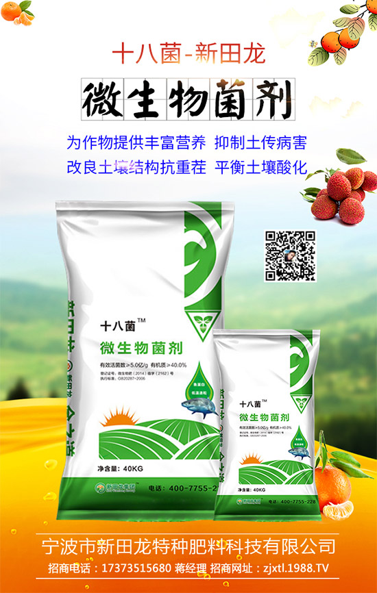 �����P(gu��n)ϵ�����A���������m(x��)�s1988.TV�����\�����°l(f��)չ��