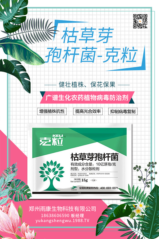 ���Ȫ���(chu��ng)��ֲ��Դ������ˎ���ذ����u��