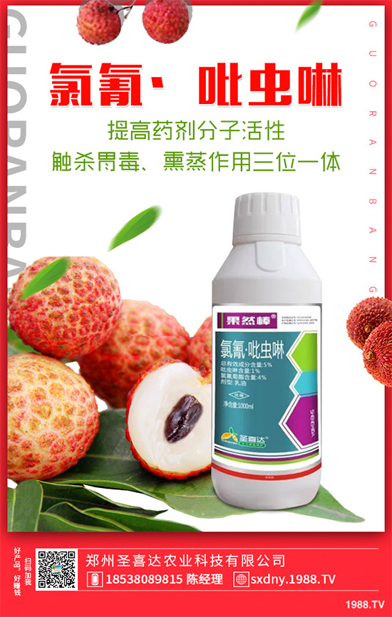 ��������ӛ���������x�y��߀�������������T��Ҫ���(qu��n)��������