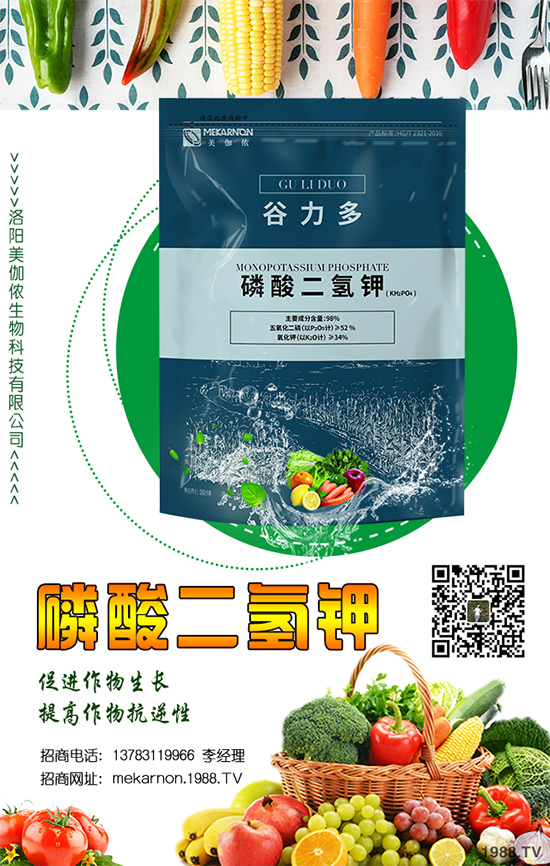 ��(zh��n)�Ժ���������(j��)����٤�z�����ٺ��r(n��ng)���W(w��ng)���A2020��