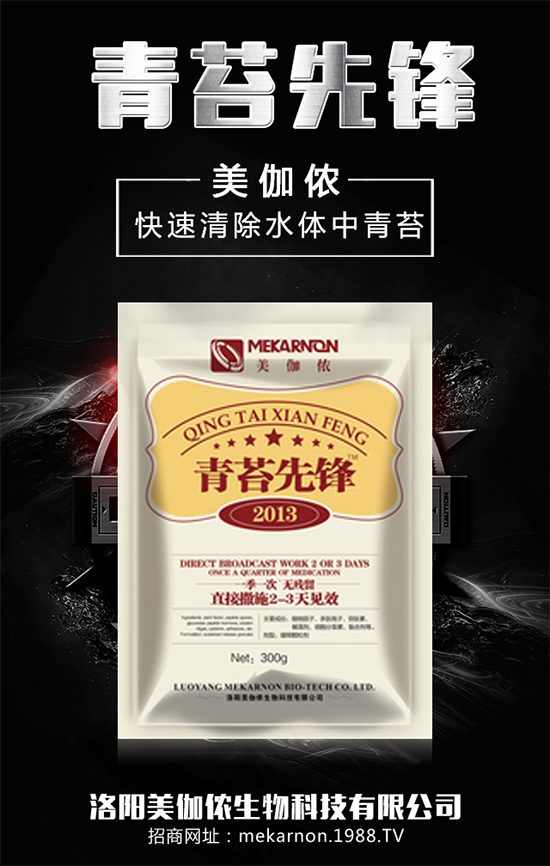 ��(zh��n)�Ժ���������(j��)����٤�z�����ٺ��r(n��ng)���W(w��ng)���A2020��