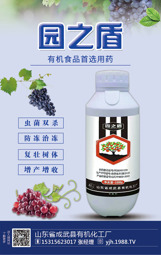 �����������������ʩ�ʼ��g��Ҫ�c��