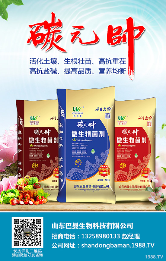     小麥干麥頭、死麥穗怎么辦？白穗、干穗、死穗的原因大全！如何預(yù)防？