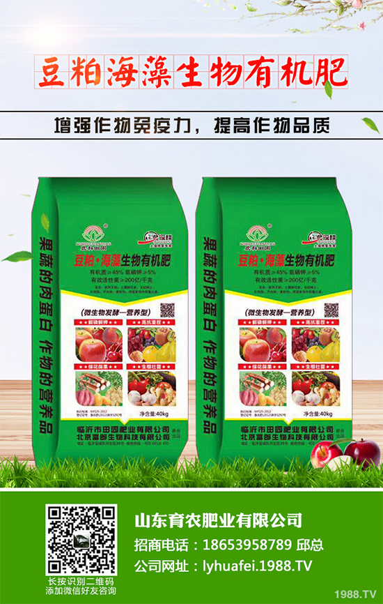 ��z�ʾ�ԓ������磿�����������z�ʾո߮a(ch��n)�������