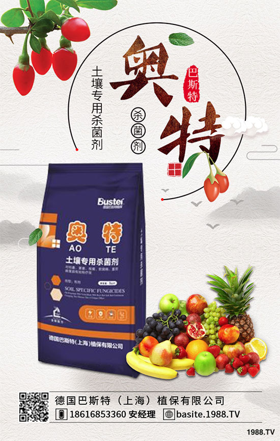 ���ߺ���������ʲô�^(q��)�e�������߷N�ӵķNֲ������