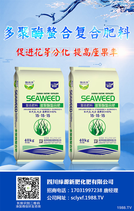 ���տ�ʲô�r�򲥷N��ԓ��ι������߮a���տ��߮a�Nֲ�������g