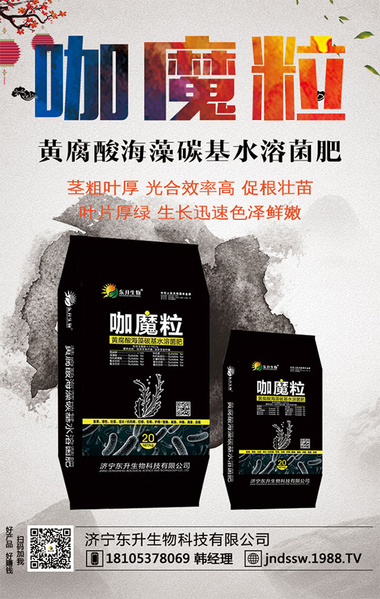 С����ʲô�g�Nֲ�r��С���۷Nֲ����Ҫ�c��