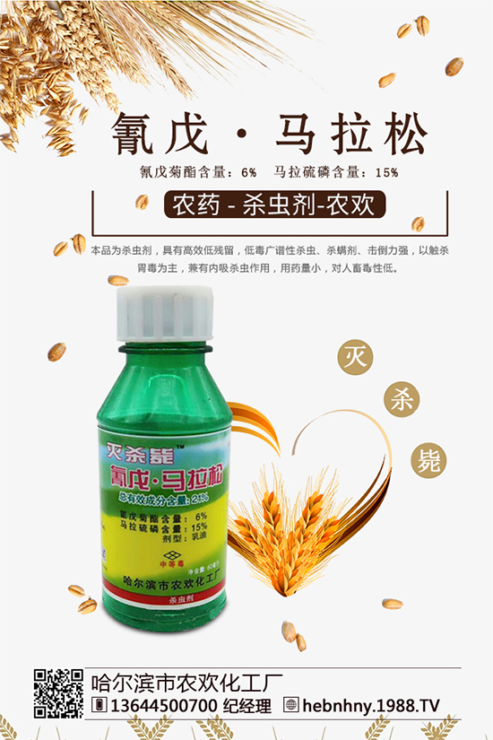 �x���߷��ڡ������xຸ�Ч���x�����Դ������