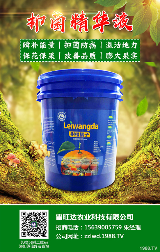 �~(y��)�Ȳ��Ј�(ch��ng)�r(ji��)������X(qi��n)һ����2020���~(y��)�ȲݵķNֲЧ�����