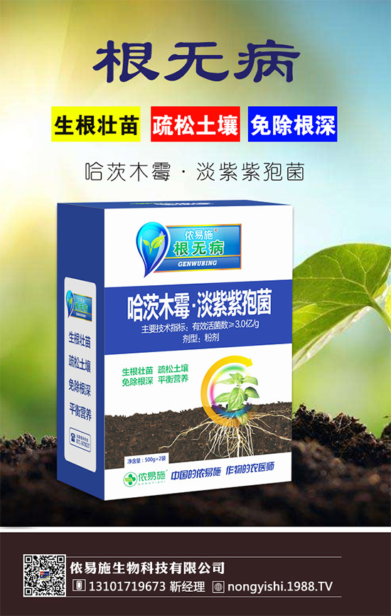 �������x���������z��ʩ�ٺ�1988.TV�����󌍬F(xi��n)�v�w����