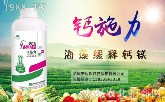 ���~˹���ﺞ�s���r(n��ng)���W(w��ng)�����_�W(w��ng)�j(lu��)������������